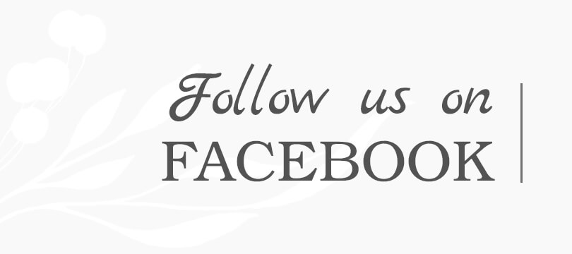 follow us on facebook